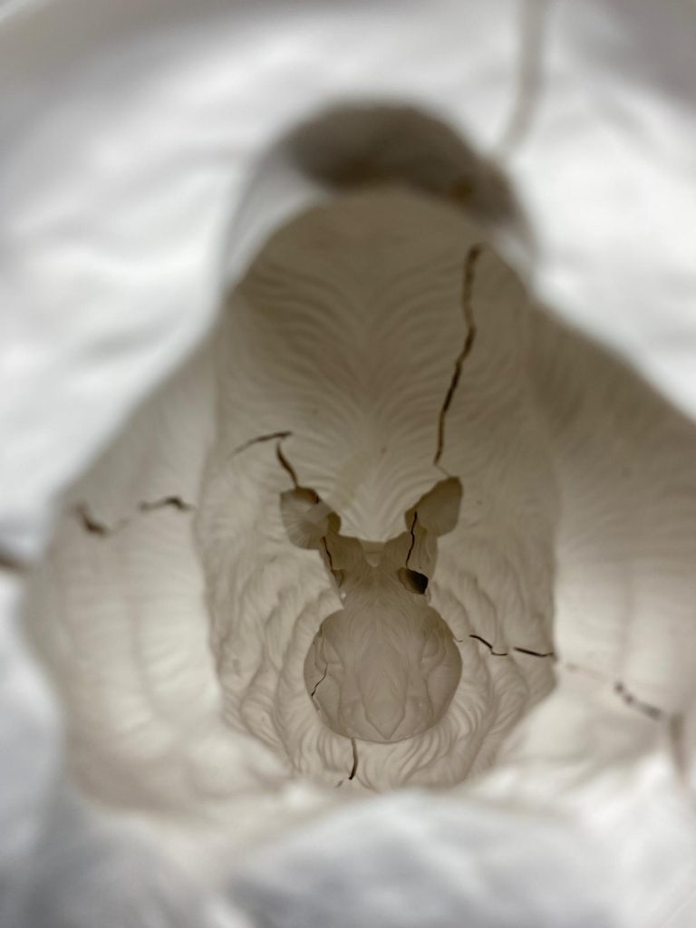 Imagen de WhatsApp 2024-06-11 a las 19.26.36_0cbb1da1