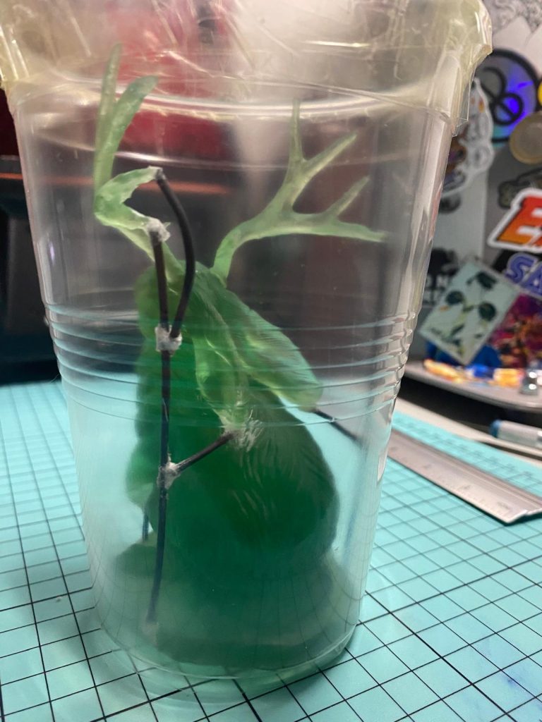 Imagen de WhatsApp 2024-06-11 a las 19.26.36_3f6d40d7